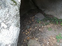 gale-20120725 070